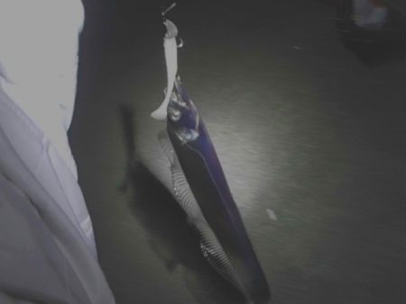 連日太刀魚釣果